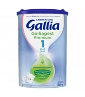 Gallia Galliagest Premium 1 Lait En Poudre B/800g à Seysses